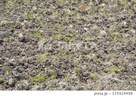 田起こしをした田んぼ（岐阜県不破郡関ヶ原町） 133424499