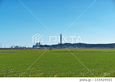 南相馬市鹿島区の水田（秋、十一月） 133424501