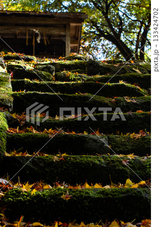 苔むした古い石段に降り積もる秋の落ち葉《兵庫県 豊岡市 桑原神社》 133424702