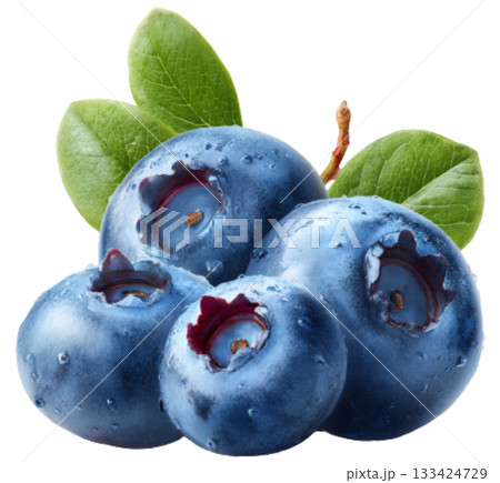 Blueberry 133424729