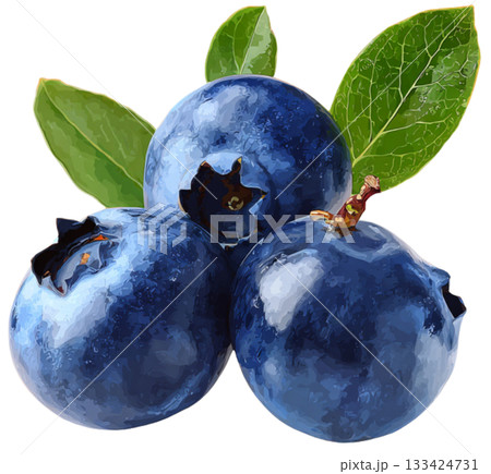 Blueberry 133424731