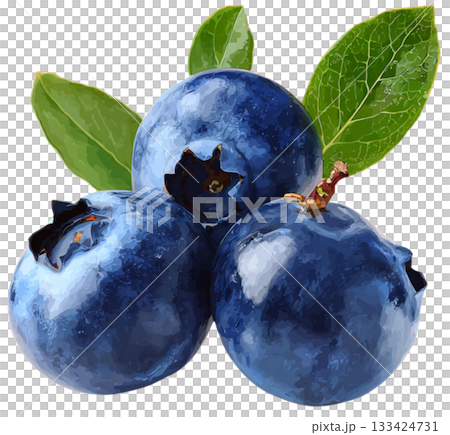 Blueberry 133424731