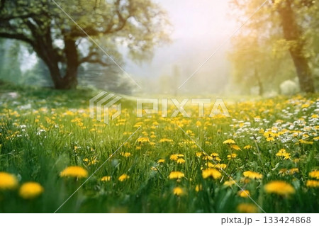 Beautiful spring natural background. Landscape with young lush green grass with blooming dandelions against the background of trees in the garden. Beautiful spring natural background. Landscape with young lush green grass with blooming dandelions against the background of trees in the garden. 133424868