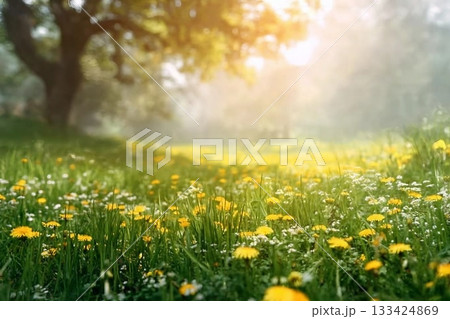 Beautiful spring natural background. Landscape with young lush green grass with blooming dandelions against the background of trees in the garden. Beautiful spring natural background. Landscape with young lush green grass with blooming dandelions against the background of trees in the garden. 133424869