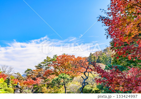 紅葉 仙台 秋保の自然公園 133424997
