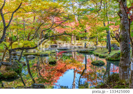紅葉 仙台 秋保の自然公園 133425000