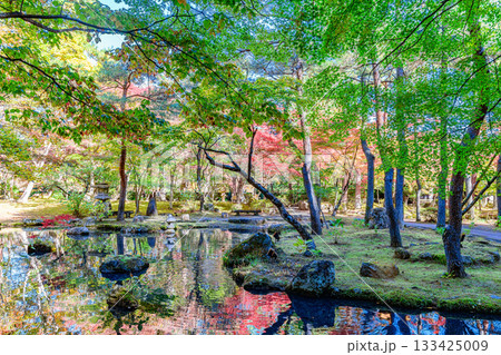 紅葉 仙台 秋保の自然公園 紅葉 仙台 秋保の自然公園 133425009