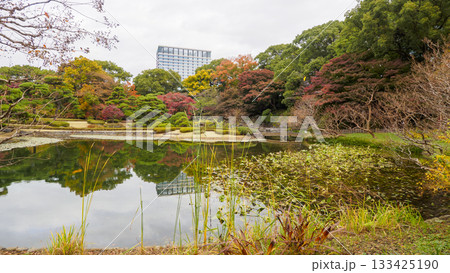皇居東御苑庭園の秋 133425190