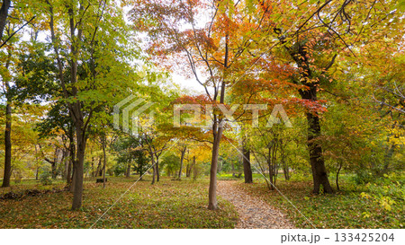 皇居東御苑庭園の秋 皇居東御苑庭園の秋 133425204