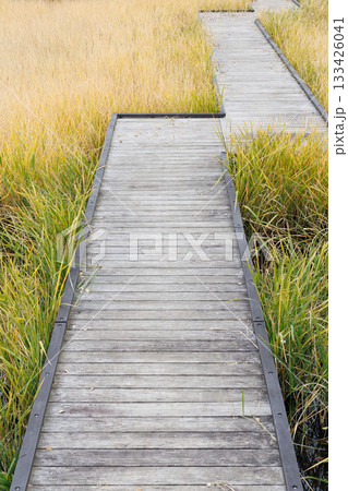 木道 木道 133426041