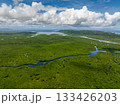 Expansive mangrove forest with branching waterways stretching to the horizon. Siargao, Philippines. 133426203