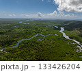 Aerial view of river curving through green tropical forest and mangroves with view toward the ocean. Siargao, Philippines. 133426204