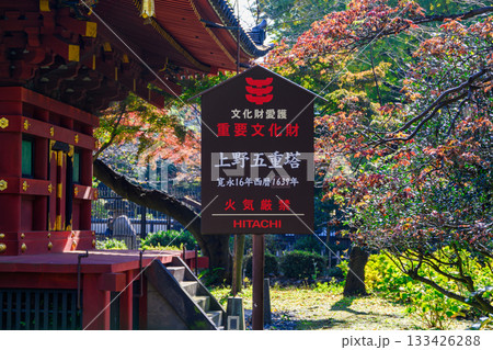 東京都　上野動物園内　旧寛永寺五重塔　重要文化財 133426288