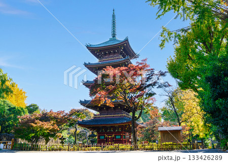 東京都　上野動物園内　旧寛永寺五重塔　重要文化財 133426289