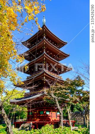 東京都　上野動物園内　旧寛永寺五重塔　重要文化財 133426290