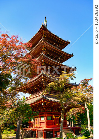 東京都　上野動物園内　旧寛永寺五重塔　重要文化財 133426292