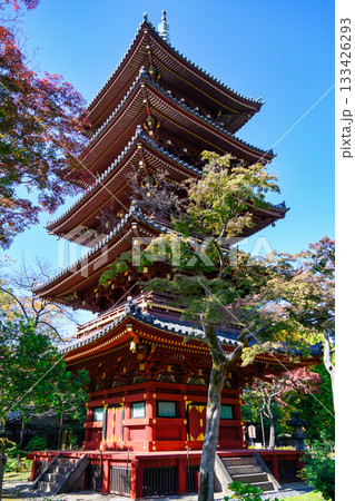 東京都　上野動物園内　旧寛永寺五重塔　重要文化財 133426293