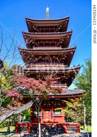 東京都 上野動物園内 旧寛永寺五重塔 重要文化財 東京都 上野動物園内 旧寛永寺五重塔 重要文化財 133426294