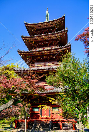 東京都　上野動物園内　旧寛永寺五重塔　重要文化財 133426295