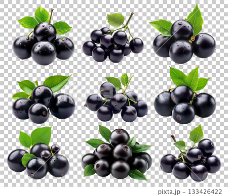 Set of dark purple acai or Jabuticaba berries with green leaves, isolated on white transparent background. Set of dark purple acai or Jabuticaba berries with green leaves, isolated on white transparent background. 133426422