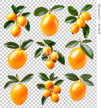 Set of yellow loquat fruits with green leaves on branch, isolated on white background. Concept of organic tropical fruit Set of yellow loquat fruits with green leaves on branch, isolated on white background. Concept of organic tropical fruit 133426426