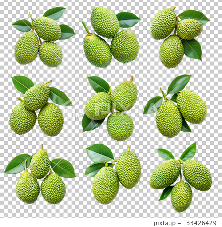 Set of Marang fruit with textured skin and green leaves, isolated on white background. Concept of tropical fruits Set of Marang fruit with textured skin and green leaves, isolated on white background. Concept of tropical fruits 133426429