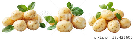 Fresh potatoes with green leaves isolated on white transparent background. Concept of healthy food. Fresh potatoes with green leaves isolated on white transparent background. Concept of healthy food. 133426600