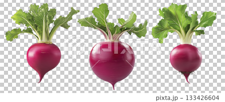 Fresh red turnip with green leaves isolated on white transparent background. Concept of healthy organic vegetables, nutrition, and farming Fresh red turnip with green leaves isolated on white transparent background. Concept of healthy organic vegetables, nutrition, and farming 133426604