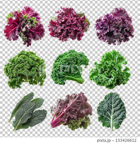 Fresh green Premier kale salad leaf isolated on a white background 133426612