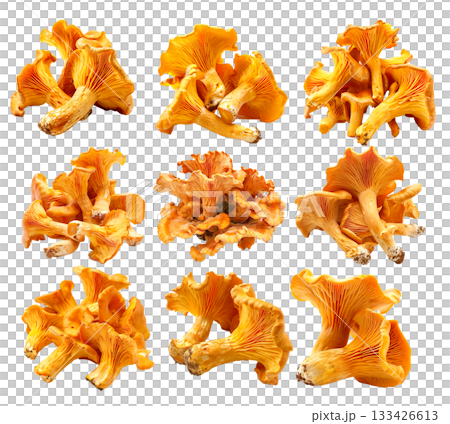 Orange cap chanterelle mushroom isolated on a white background Orange cap chanterelle mushroom isolated on a white background 133426613