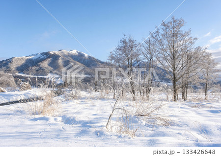 里山に降りた霜(蒜山高原) 里山に降りた霜(蒜山高原) 133426648
