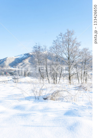 里山に降りた霜(蒜山高原) 里山に降りた霜(蒜山高原) 133426650