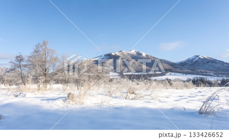 里山に降りた霜（蒜山高原） 133426652