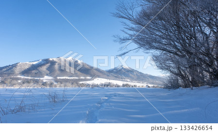 里山に降りた霜（蒜山高原） 133426654