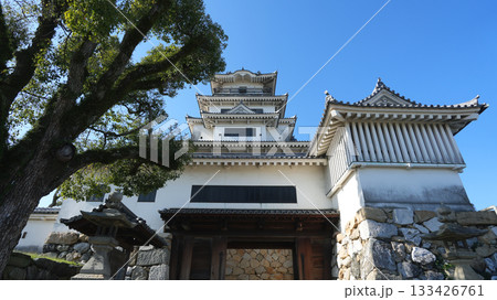 今治城　愛媛県 133426761