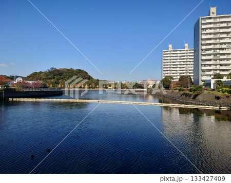ふなだまり(横浜市金沢区並木) 133427409
