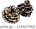 松ぼっくりのイラスト 133427462
