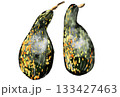 南部一郎かぼちゃのイラスト 133427463