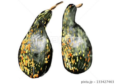 南部一郎かぼちゃのイラスト 133427463