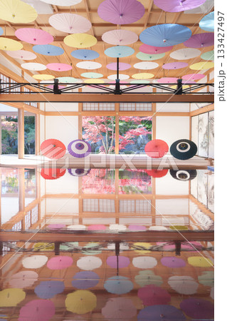宝徳寺の床もみじ 宝徳寺の床もみじ 133427497