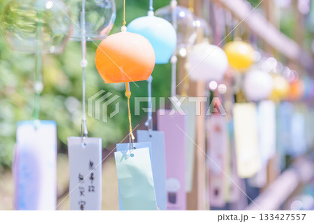 宝徳寺の夏の床もみじ 宝徳寺の夏の床もみじ 133427557