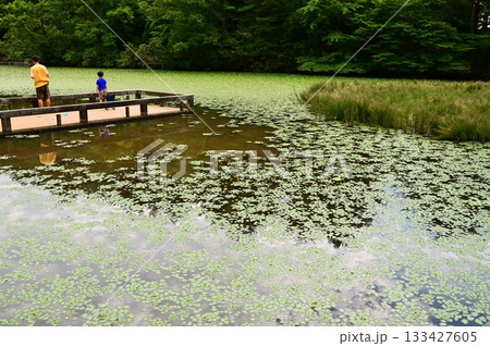 花巻広域公園 ぎんがのもり 133427605