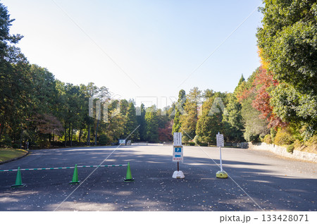 武蔵野陵参道 武蔵野陵参道 133428071