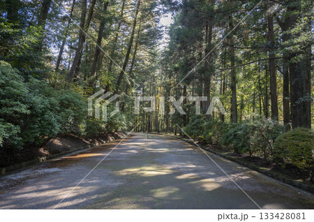 武蔵野陵参道 133428081