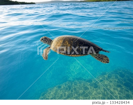 エメラルドグリーンの海を泳ぐウミガメ（AI生成画像） 133428434