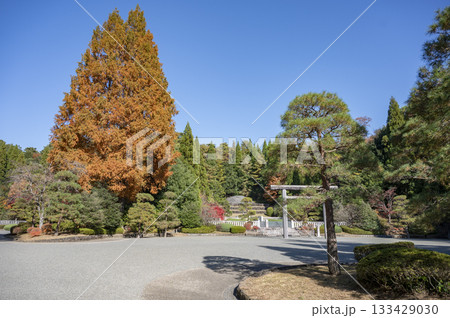 香淳皇后武蔵野東陵 香淳皇后武蔵野東陵 133429030