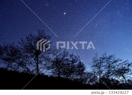 冬の星座と木星の輝き 133429227