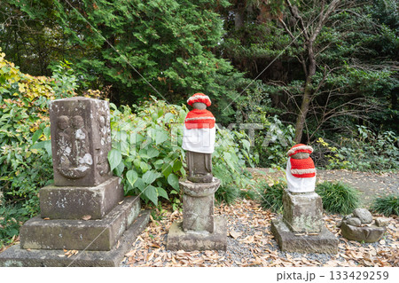 こうの木地蔵（神奈川県相模原市） 133429259