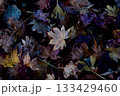 落ち葉（秋のイメージカット） 133429460
