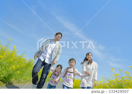 菜の花の咲く遊歩道を歩く4人家族 133429507